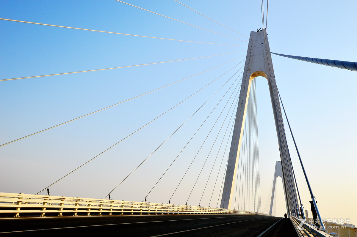 美丽的营口辽河大桥