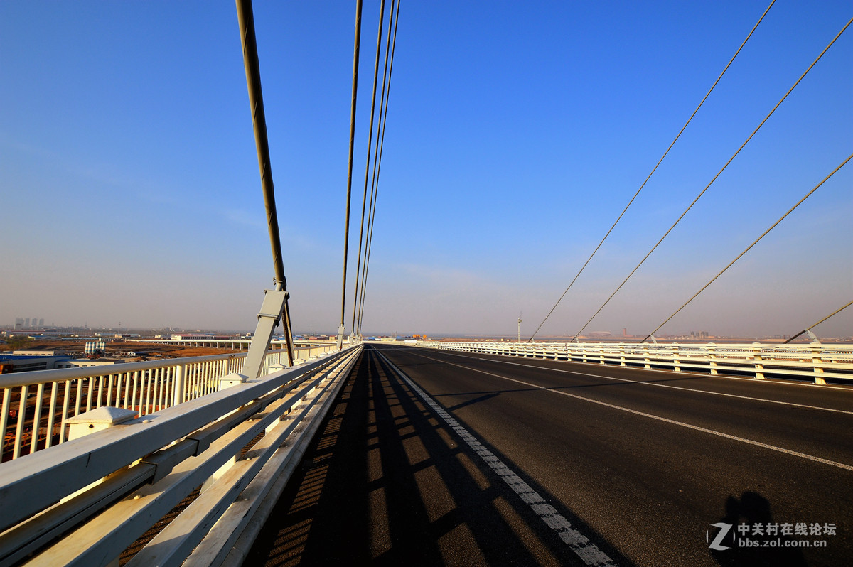 美丽的营口辽河大桥