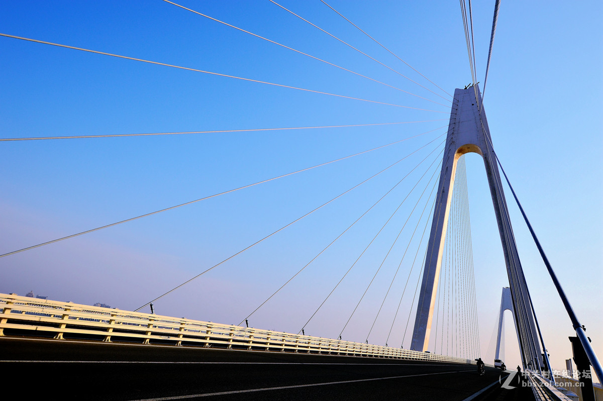 美丽的营口辽河大桥