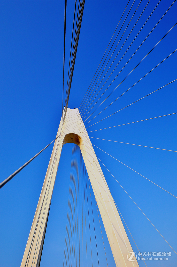 美丽的营口辽河大桥