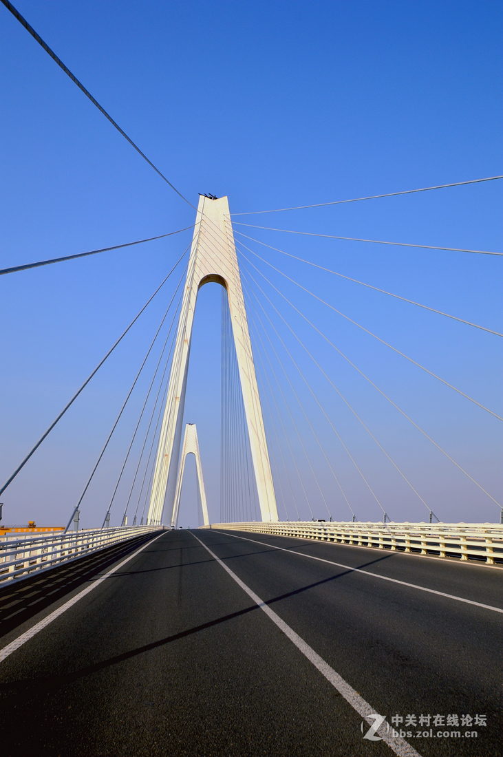 美丽的营口辽河大桥