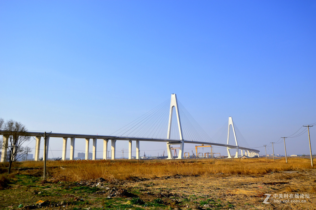 美丽的营口辽河大桥