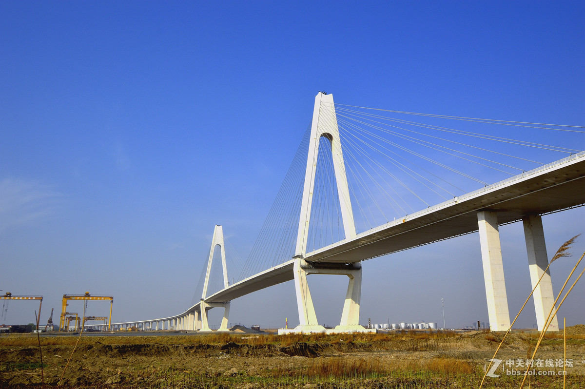 壮观的营口辽河大桥