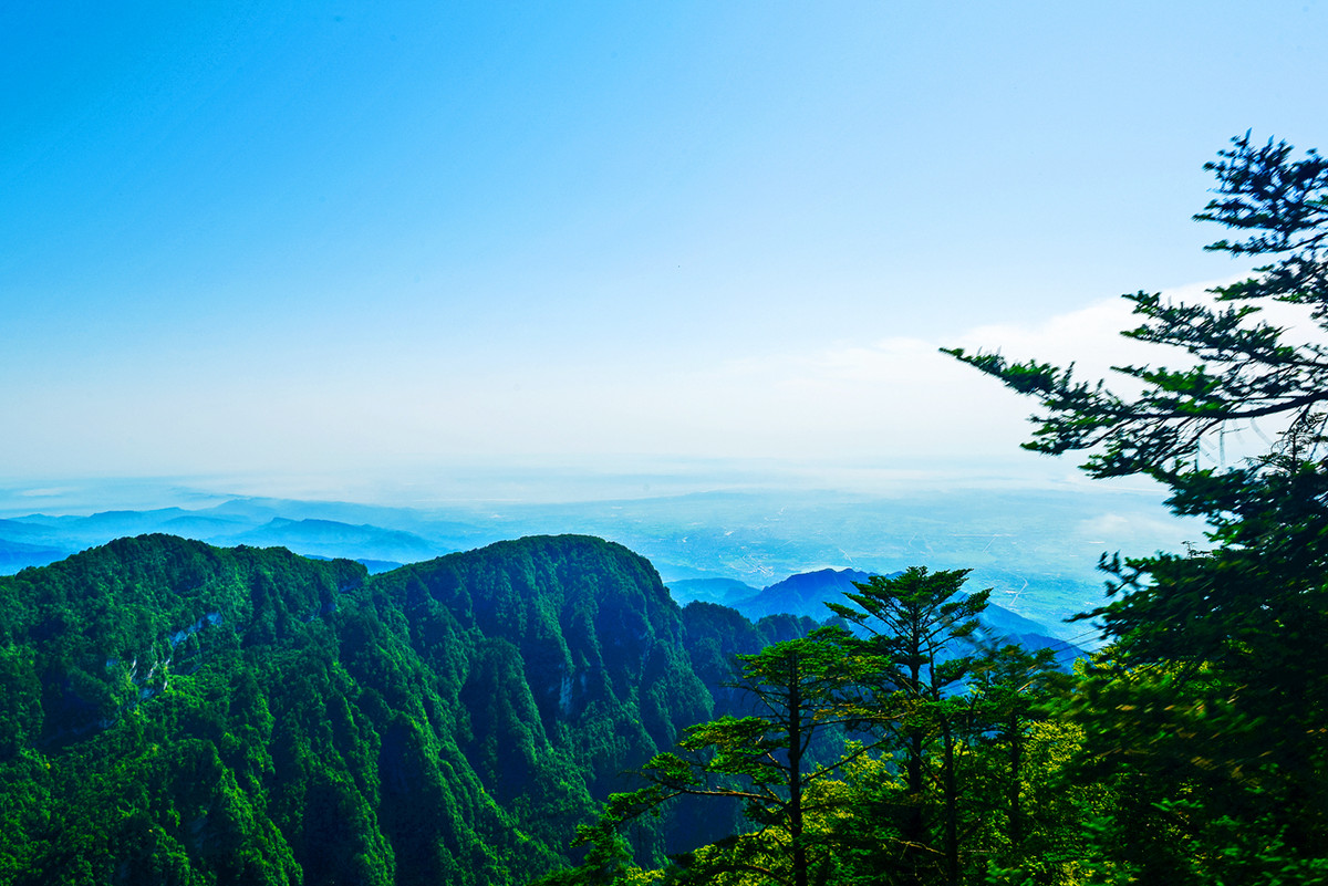 峨眉山之松柏长青