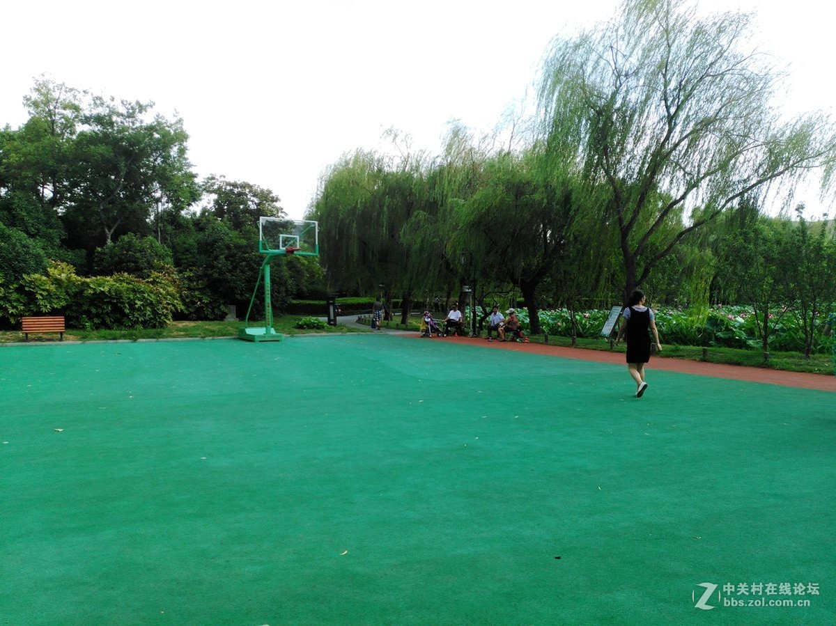 扬州的荷花池日景和苏州的工业园区（观鱼）夜景