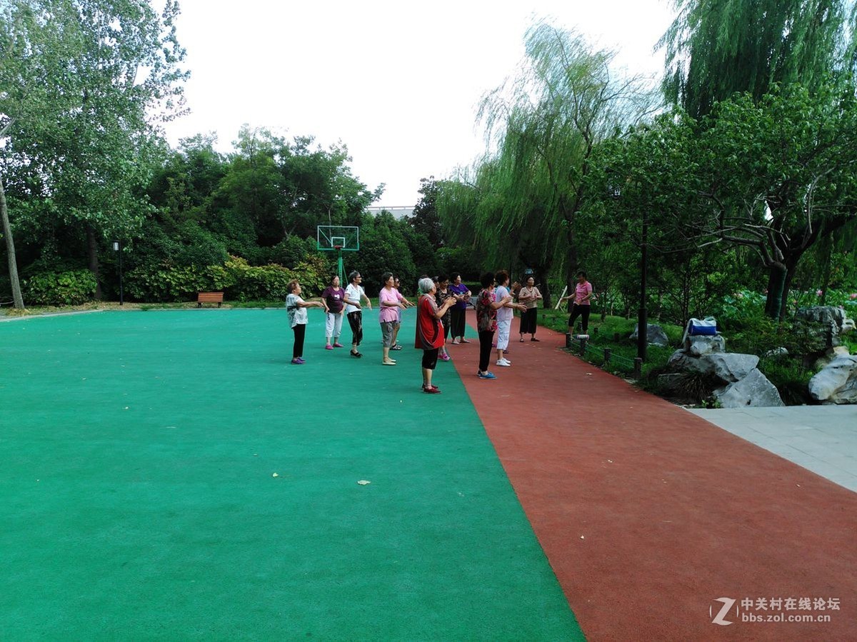 扬州的荷花池日景和苏州的工业园区（观鱼）夜景