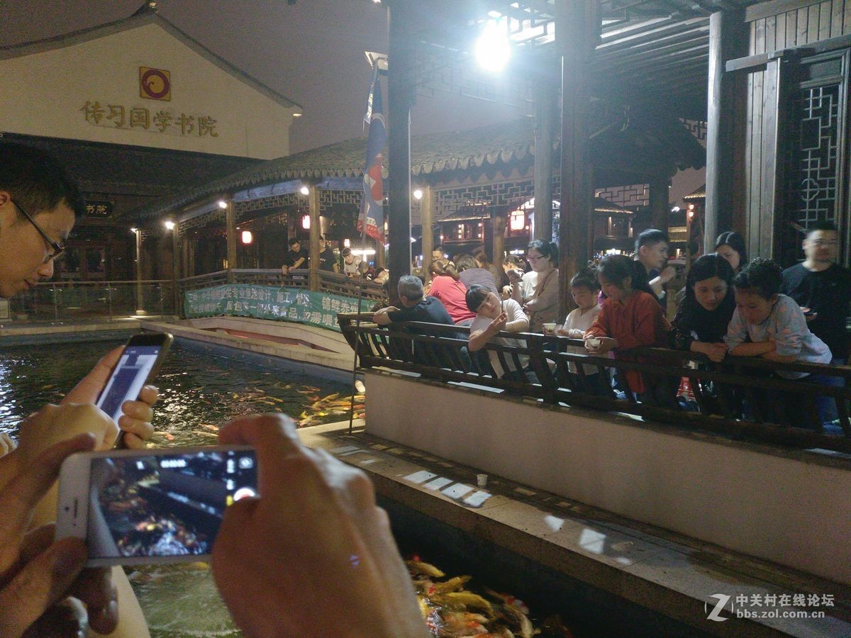 扬州的荷花池日景和苏州的工业园区（观鱼）夜景