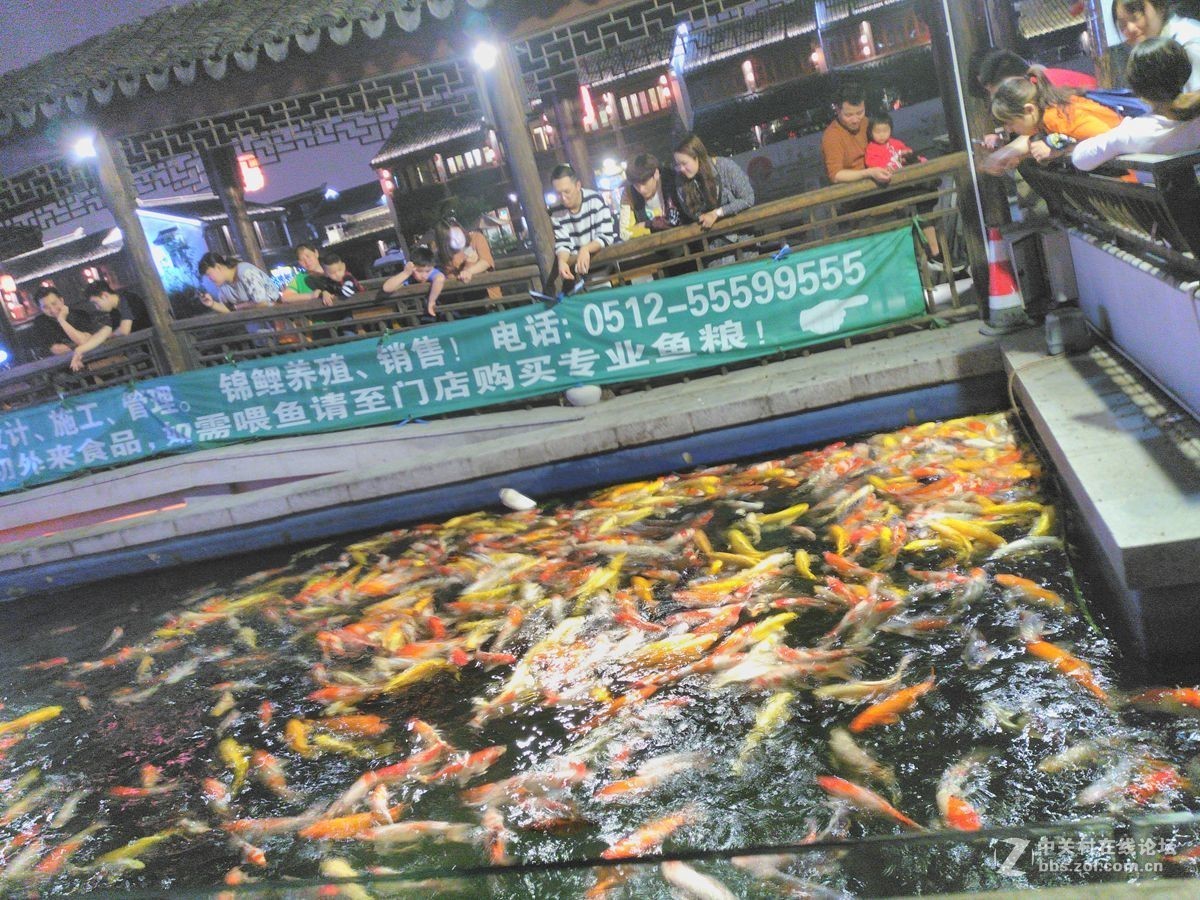 扬州的荷花池日景和苏州的工业园区（观鱼）夜景