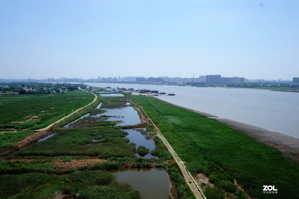 大中午的烈日炎炎下瞎吧乱拍……