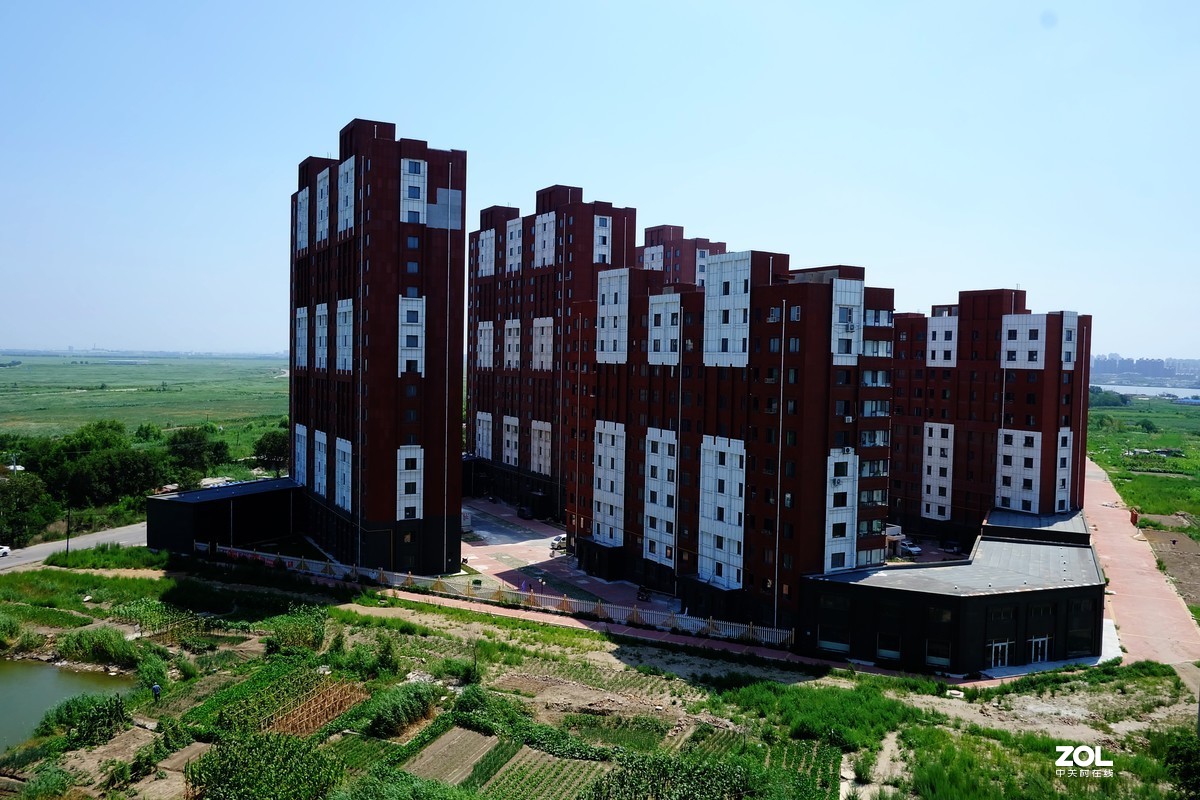 大中午的烈日炎炎下瞎吧乱拍……