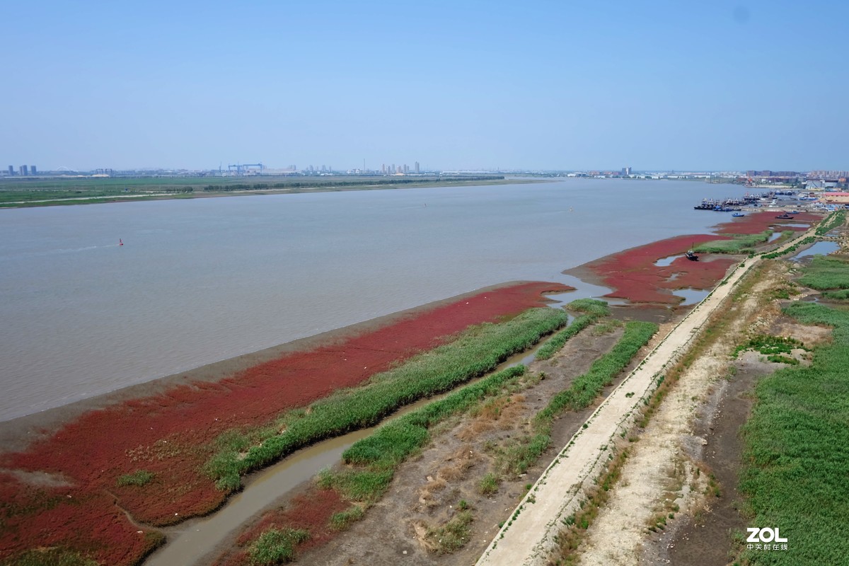 大中午的烈日炎炎下瞎吧乱拍……