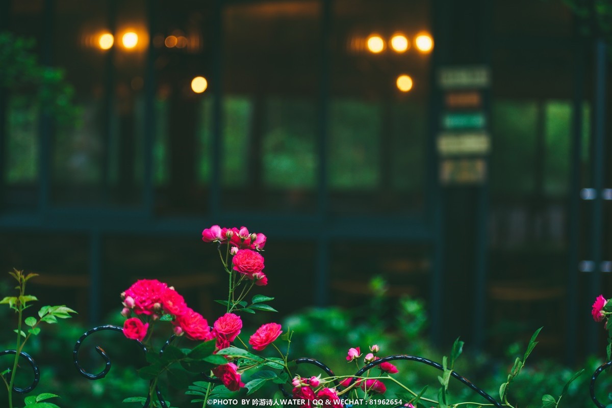 浙东小九寨 --- D750 +28 1.4E + AFP 70-300E