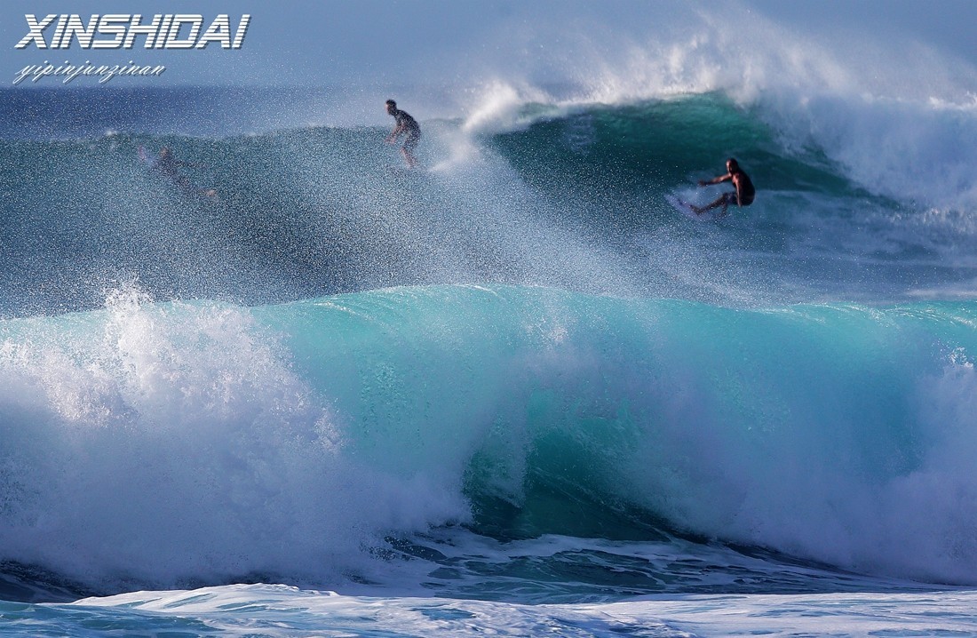 精彩一目  夏威夷冲浪运动
