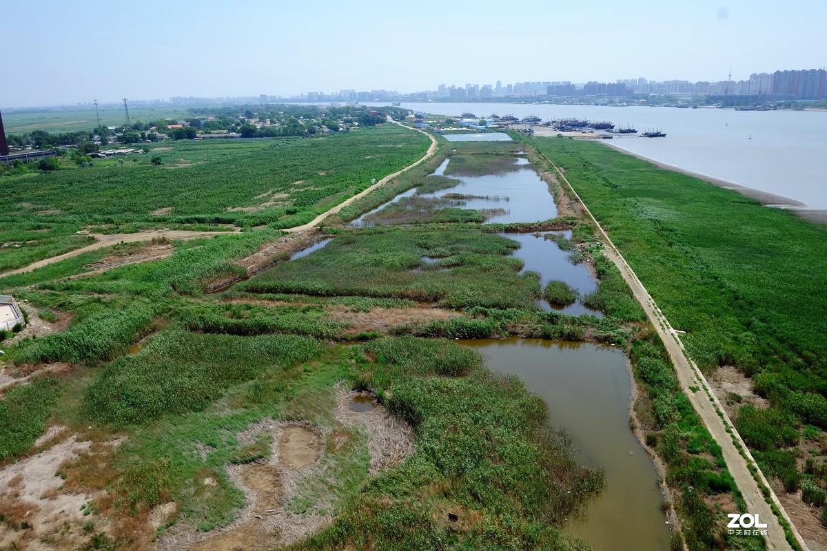 大中午的烈日炎炎下瞎吧乱拍……