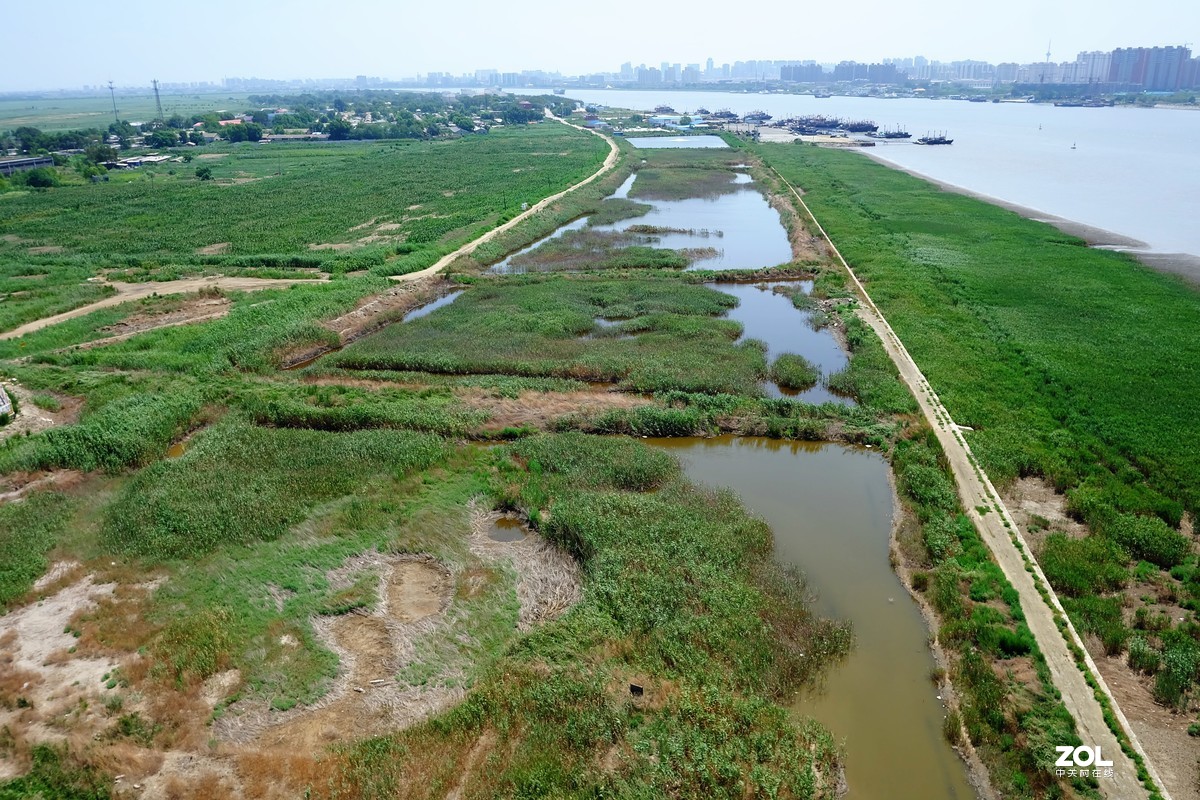 大中午的烈日炎炎下瞎吧乱拍……