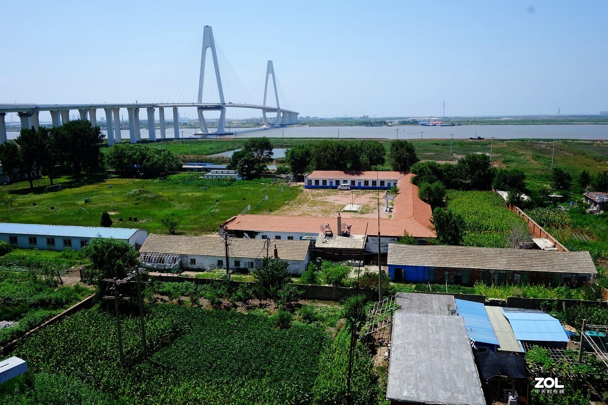 大中午的烈日炎炎下瞎吧乱拍……