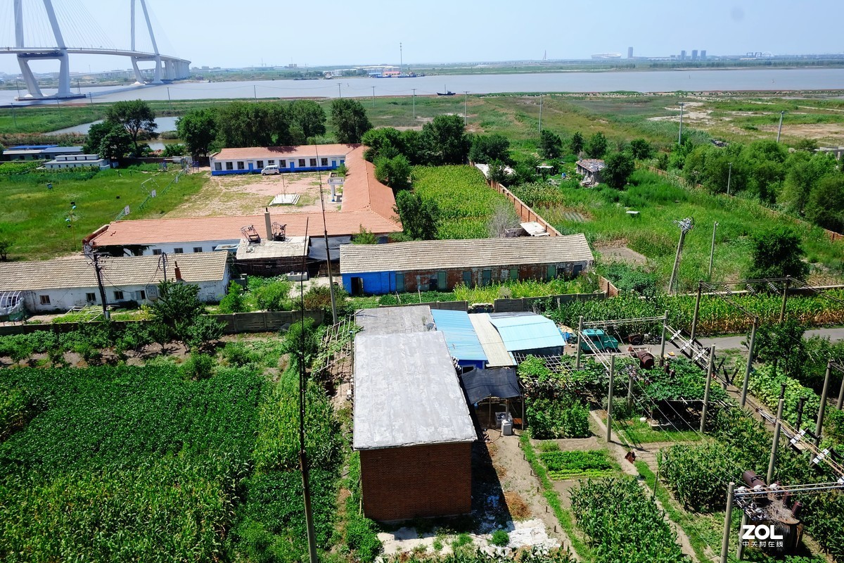 大中午的烈日炎炎下瞎吧乱拍……