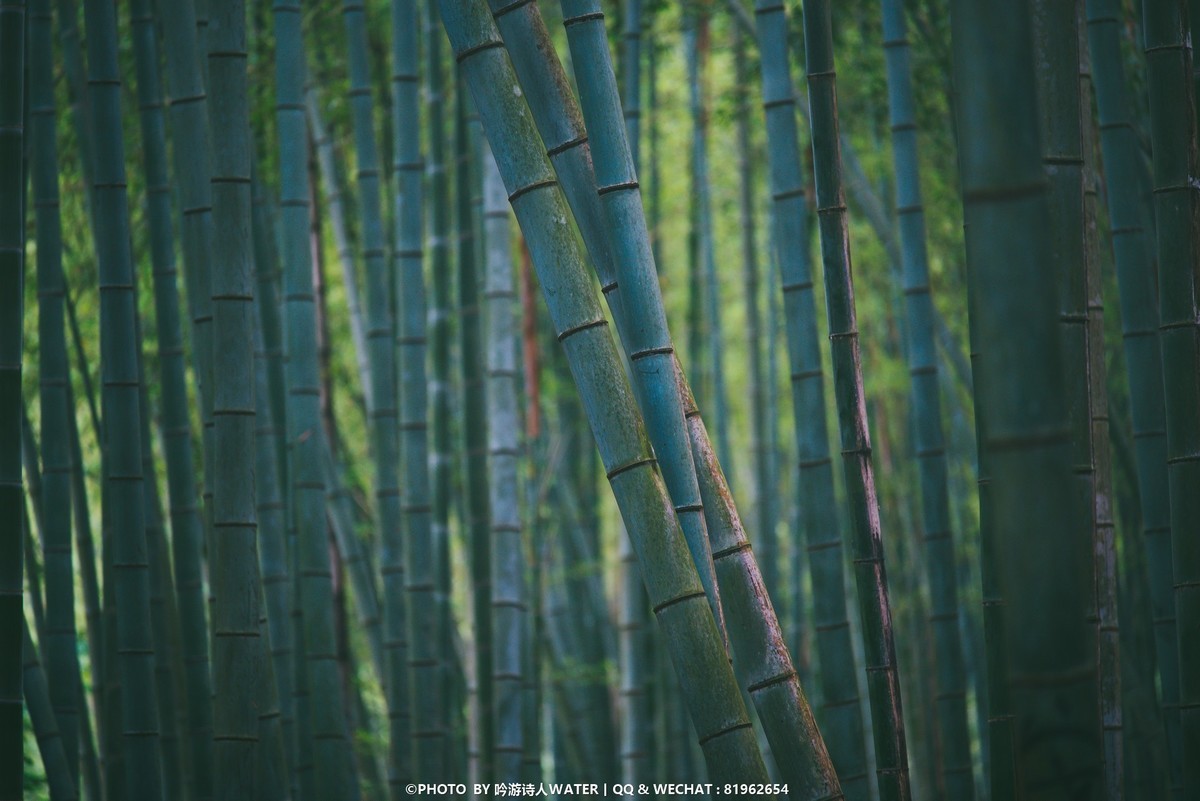 浙东小九寨 --- D750 +28 1.4E + AFP 70-300E