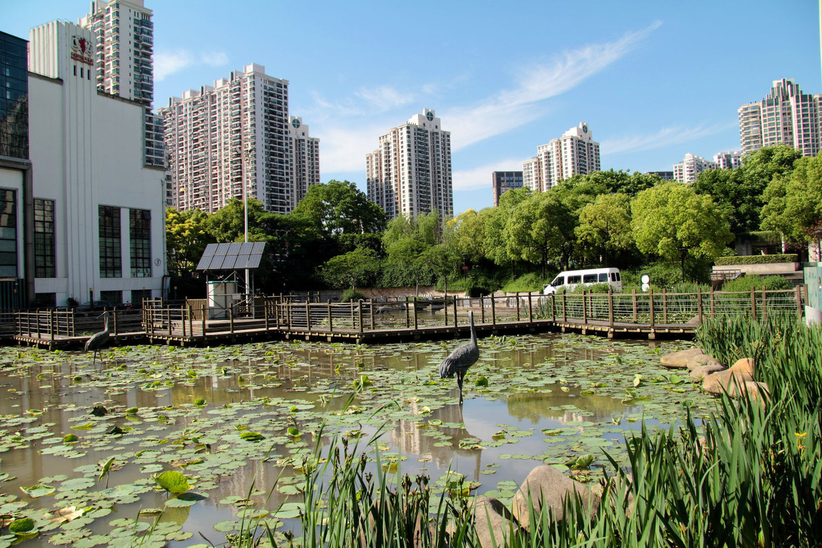 謝謝版主評分加精鼓勵再發一組上海蘇州河畔環保主題公園夢清園的作業