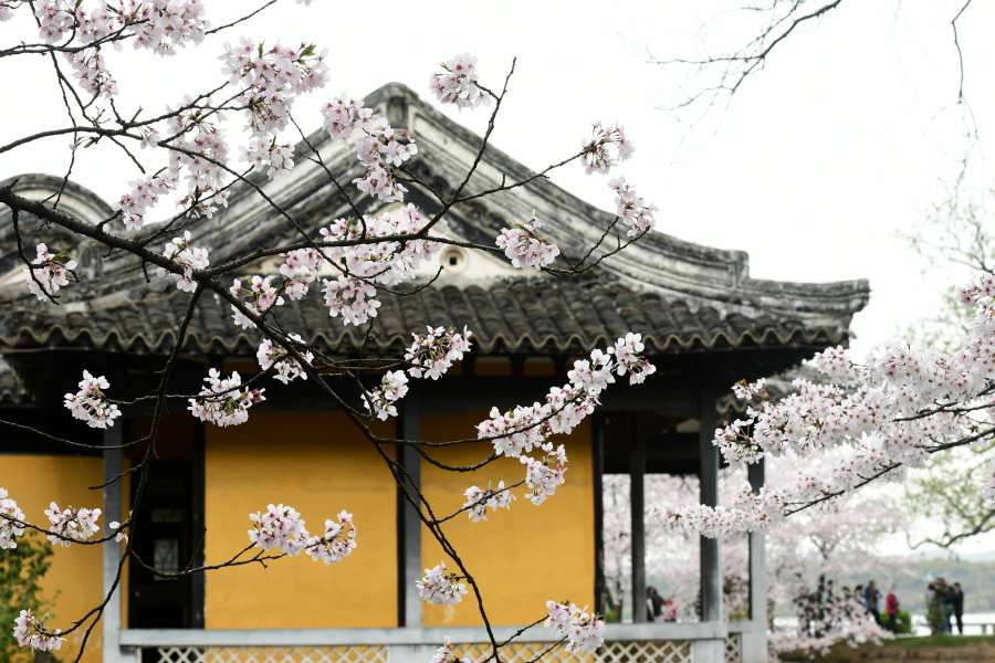 上周休息日，无锡鼋头渚，拈花湾二日游