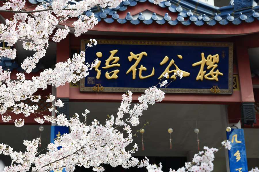 上周休息日，无锡鼋头渚，拈花湾二日游