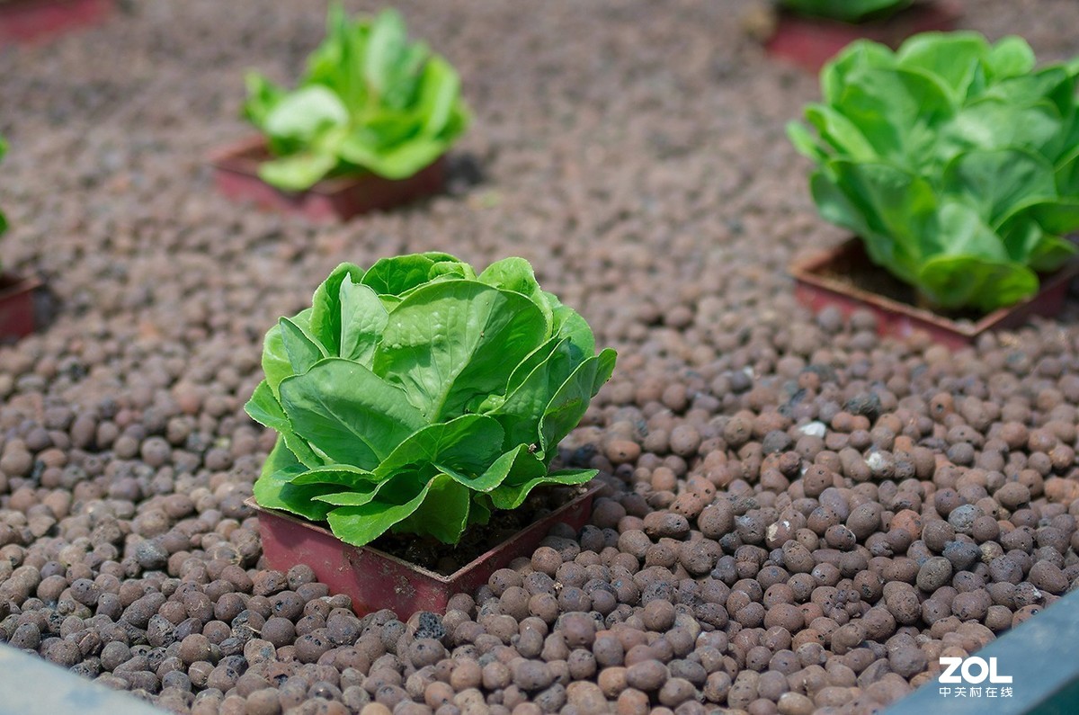 K50+图丽AT-X PRO 28-70 2.8随拍