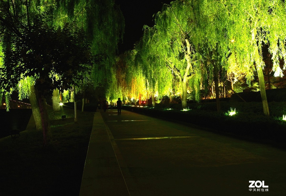 三里河公园夜景掠影12312p