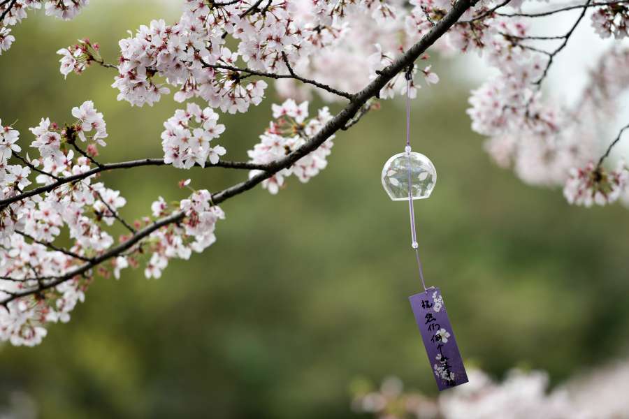 上周休息日，无锡鼋头渚，拈花湾二日游