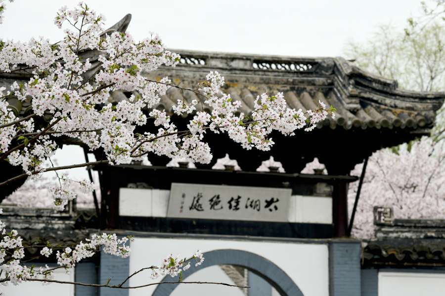上周休息日，无锡鼋头渚，拈花湾二日游