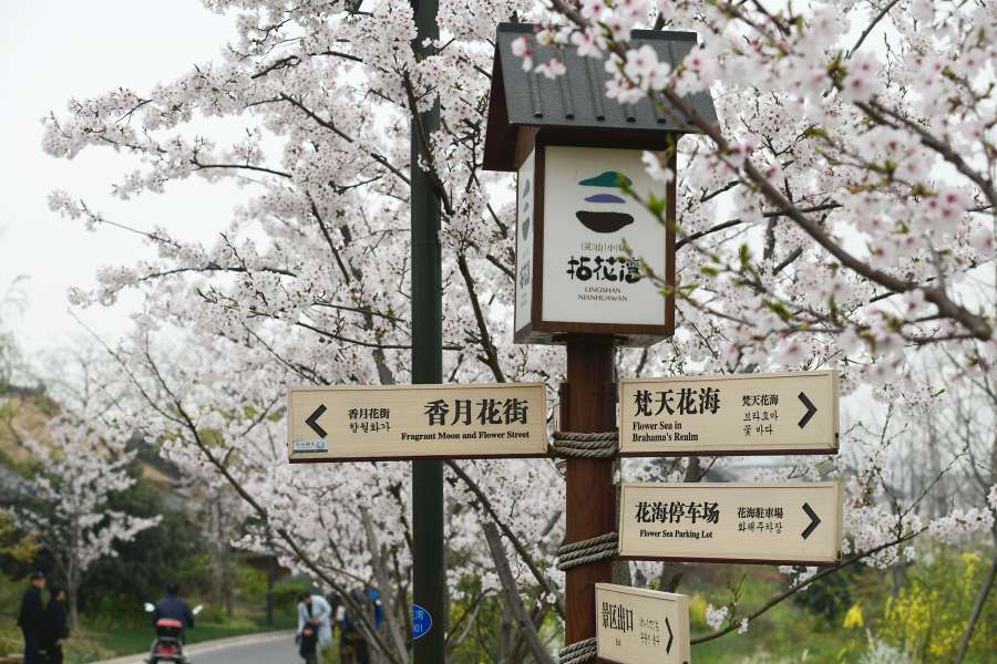 上周休息日，无锡鼋头渚，拈花湾二日游