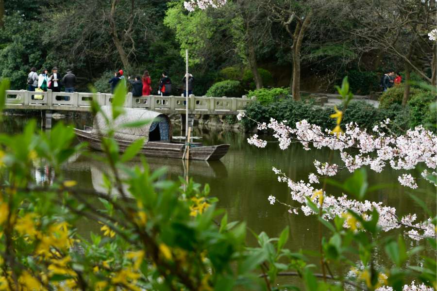 上周休息日，无锡鼋头渚，拈花湾二日游