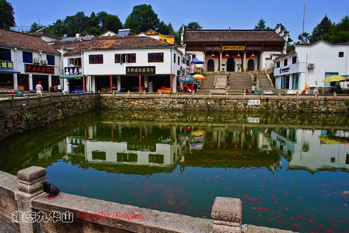 難忘九華山之化城寺抵園寺財神殿通惠寺