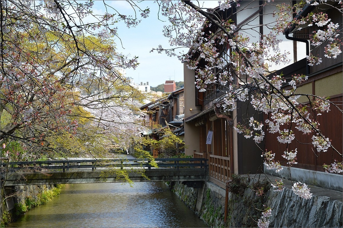 小个蜜蜂京都祗园白川游拍d20514