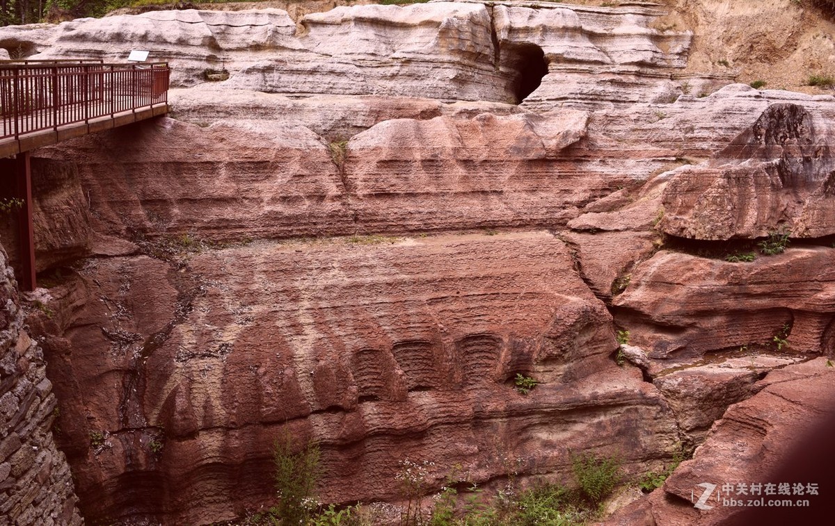 黎坪国家森林公园—中华龙山