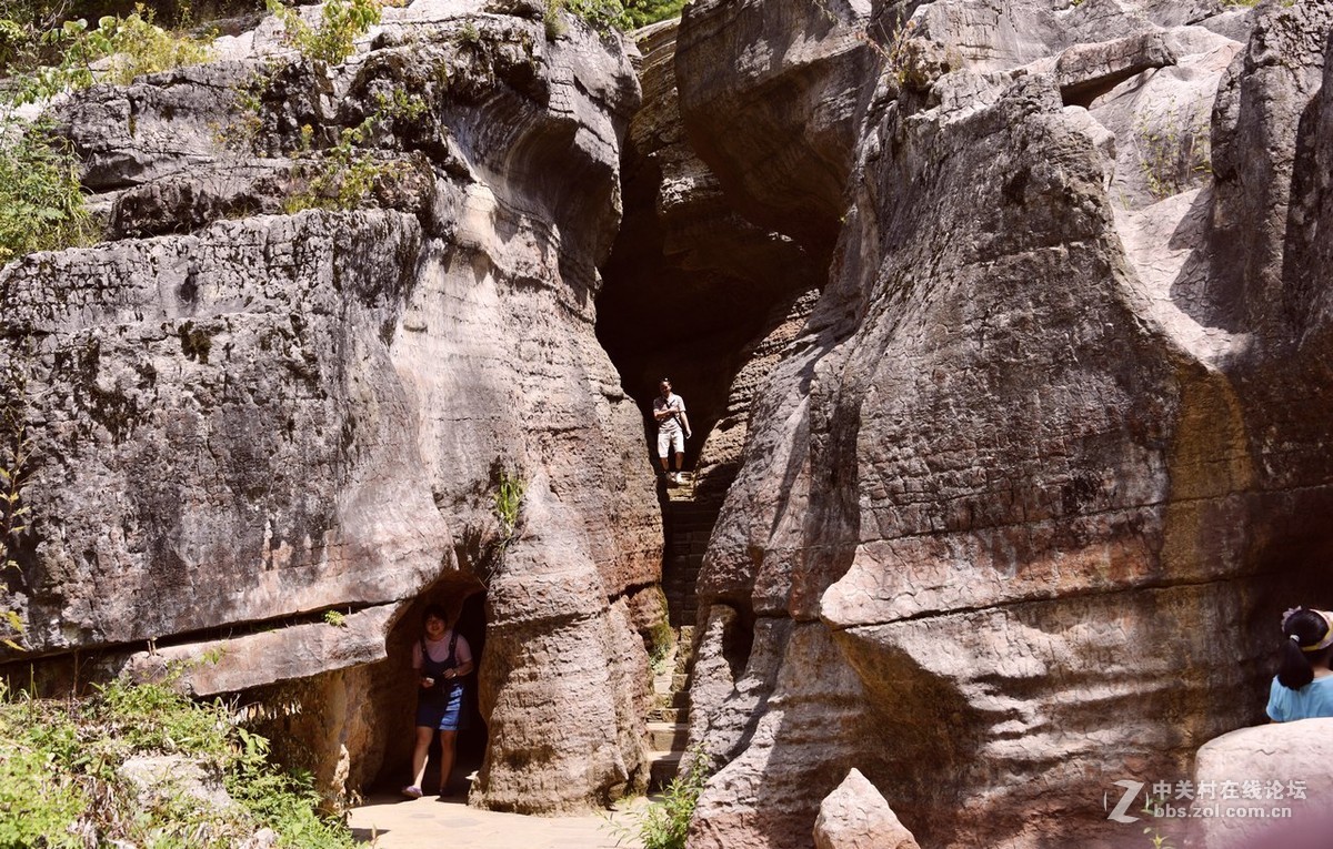 黎坪国家森林公园—中华龙山