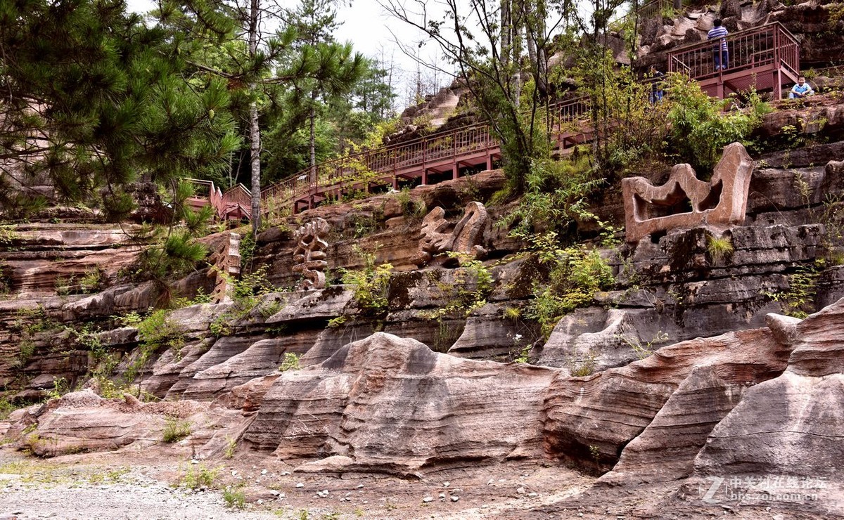 黎坪国家森林公园—中华龙山