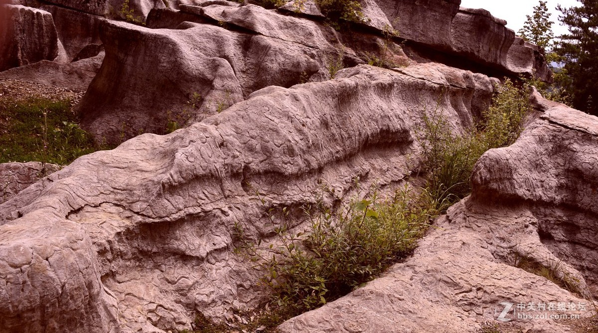 黎坪国家森林公园—中华龙山