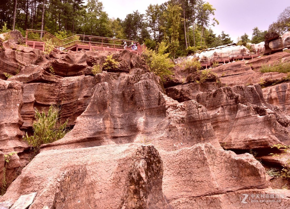 黎坪国家森林公园—中华龙山