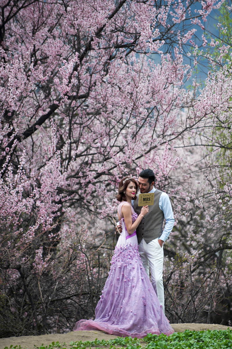 #我镜头下最美的花儿#——林芝桃花