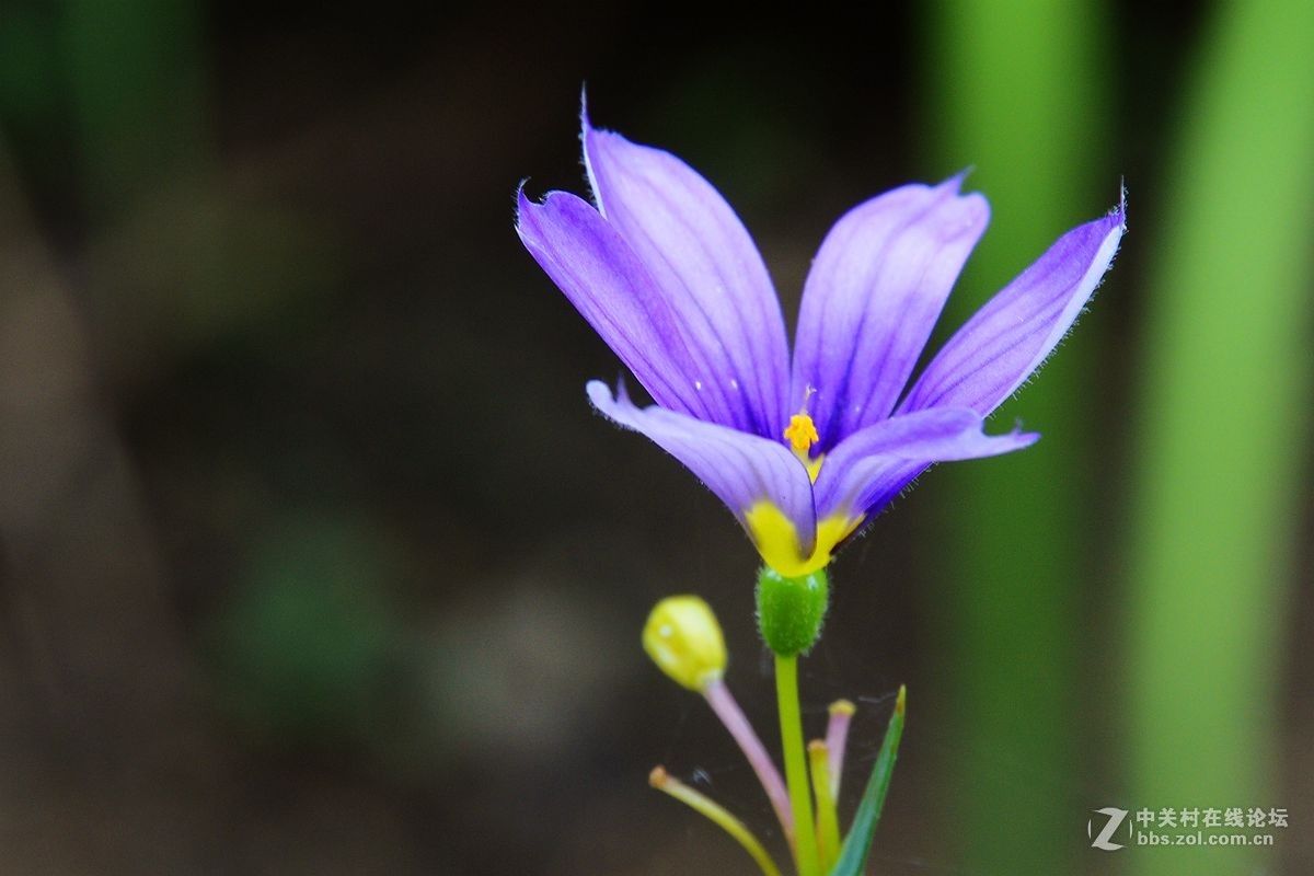 一组综合小品祝贺7200板块正式开坛，同贺清风光影荣任版主