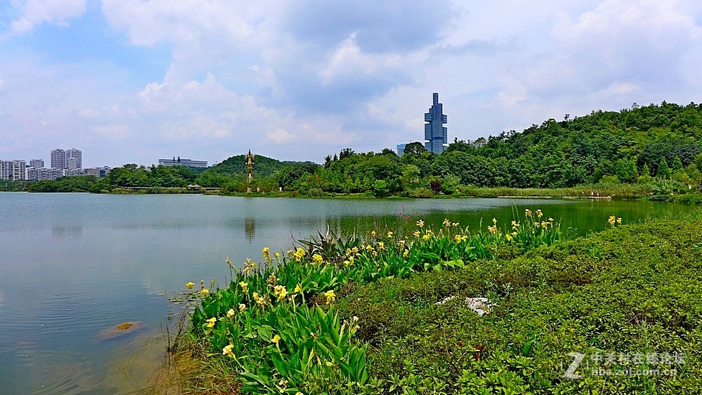 --------游观山湖随拍--------