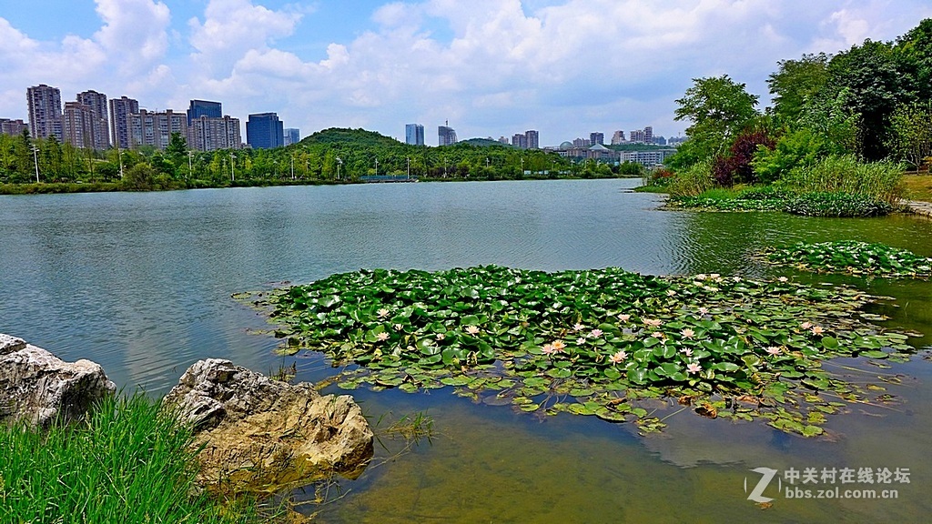 --------游观山湖随拍--------