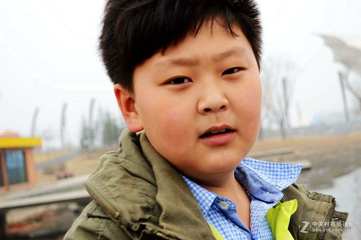 一组综合小品祝贺7200板块正式开坛，同贺清风光影荣任版主