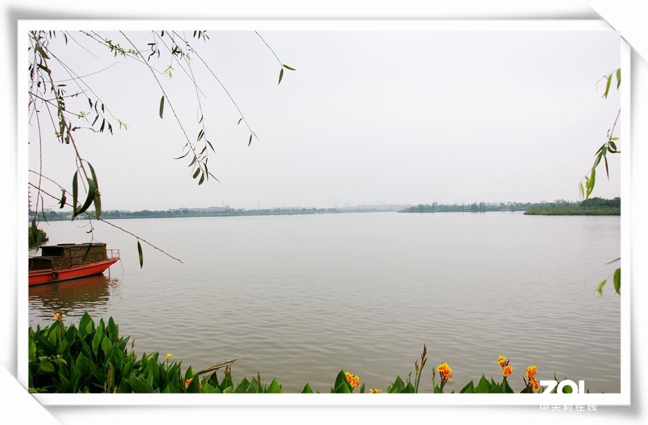 东莞华阳湖湿地公园（一组旧片）