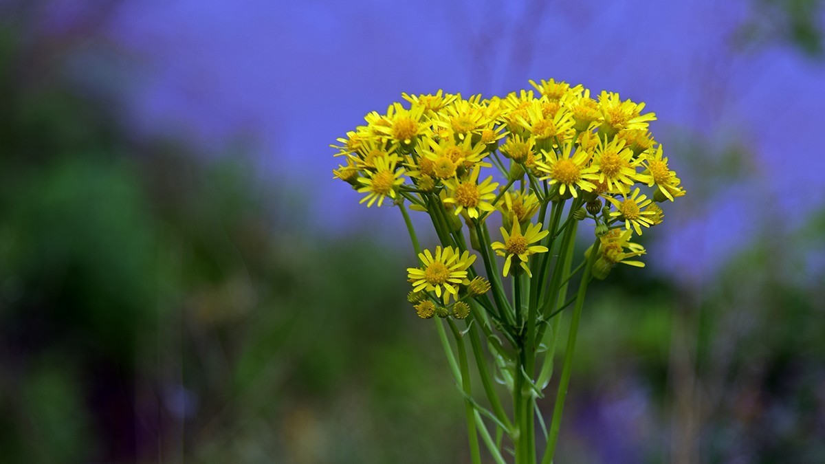 19.622尚志山关登山