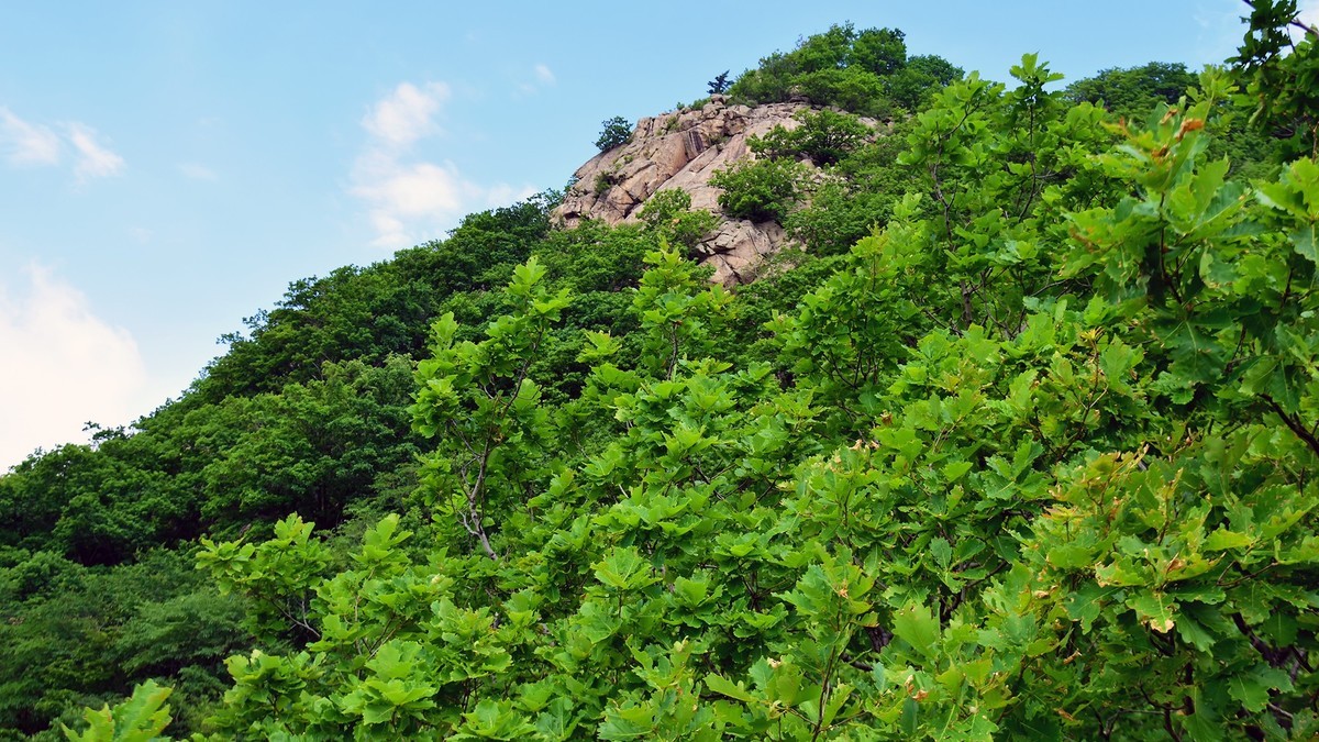 19.622尚志山关登山