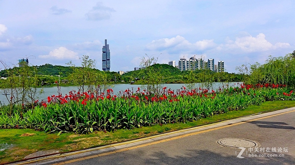 --------游观山湖随拍--------