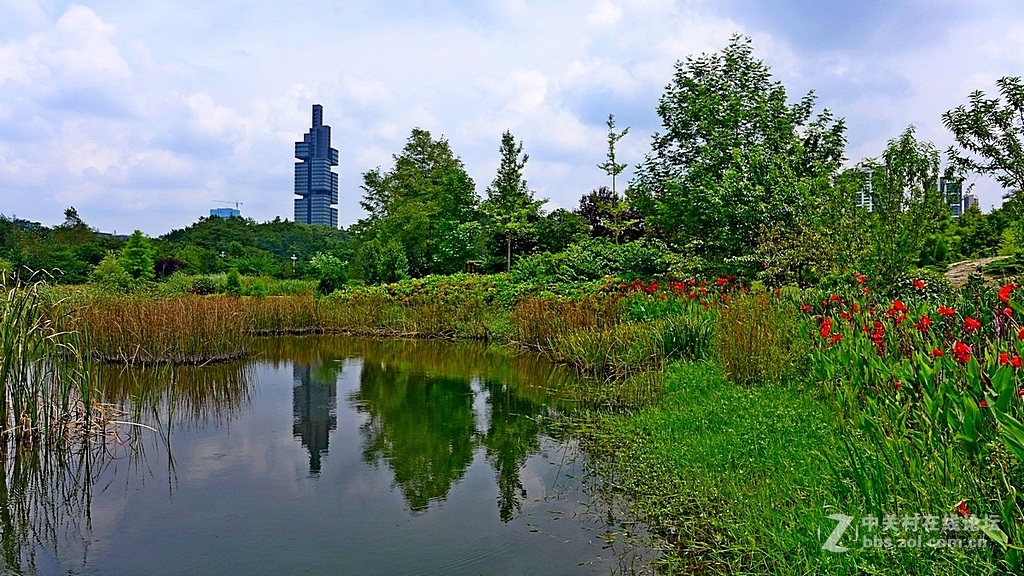 --------游观山湖随拍--------