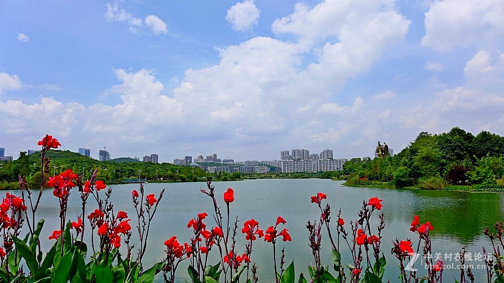 --------游观山湖随拍--------