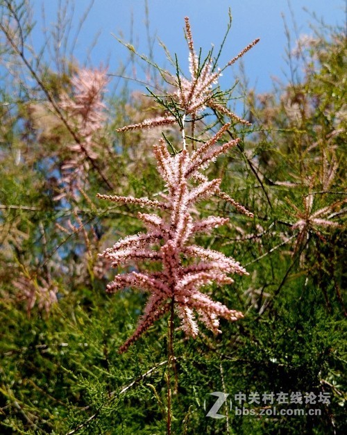 2019.5.24爬老虎沟